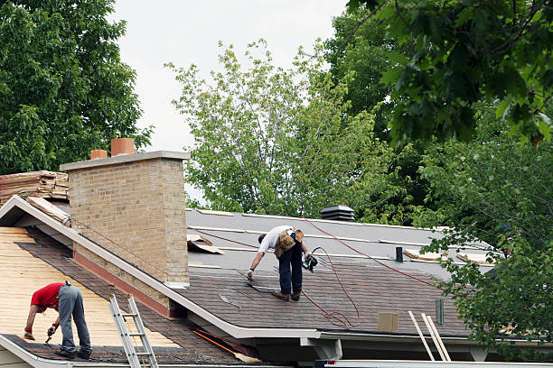 Best Roof Repair Services  in Scottville, MI