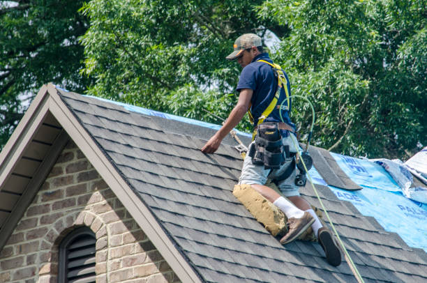Best Local Roofing Companies  in Scottville, MI